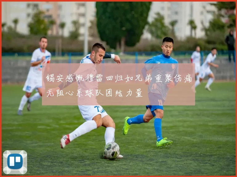 锡安感慨穆雷回归如兄弟重聚伤痛无阻心系球队团结力量