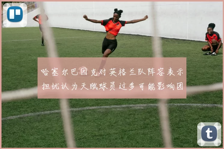 哈塞尔巴因克对英格兰队阵容表示担忧认为天赋球员过多可能影响团队合作